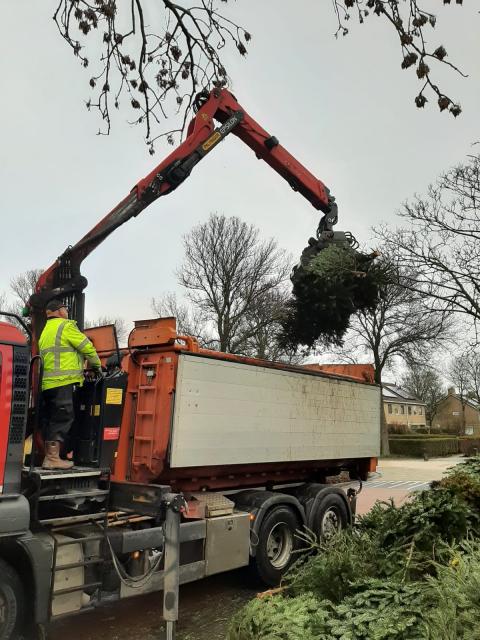 gemeente haalt kerstbomen op