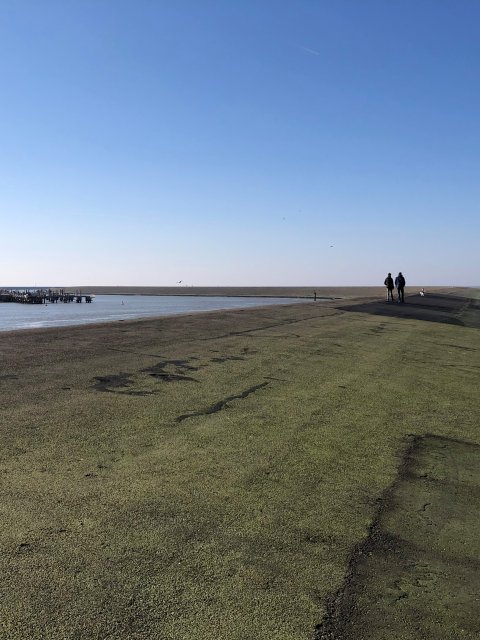 Noorderpier Harlingen. 