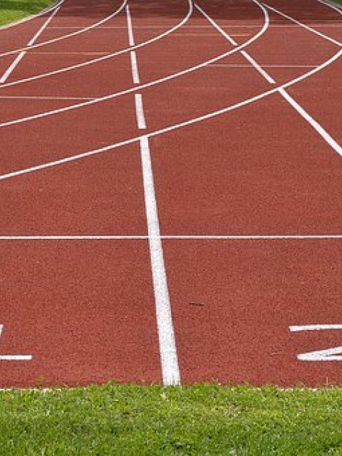 Subsidieregeling Topsport