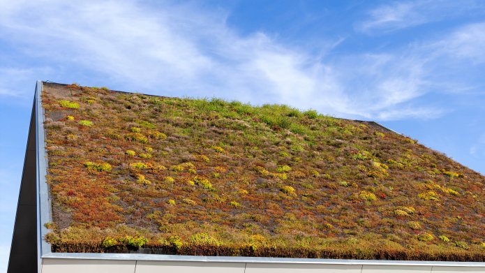 Afbeelding van een "groen" dak