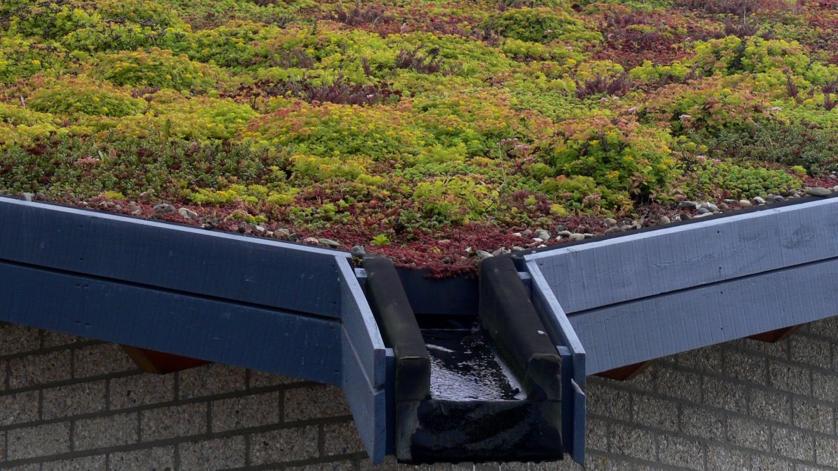 Heerlen zet natuurinclusief bouwen als nieuwe norm voor de stad