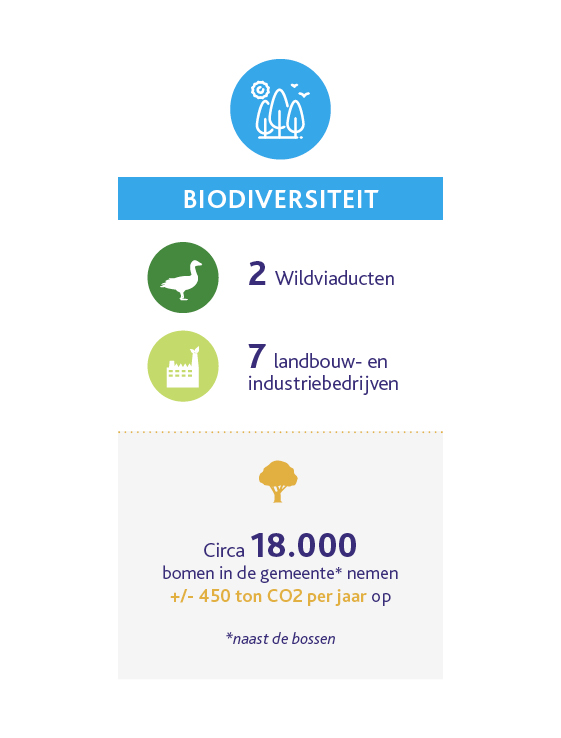 infographic biodiversiteit