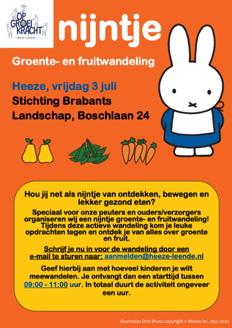 Flyer nijntje 3 juli 2026 Heeze
