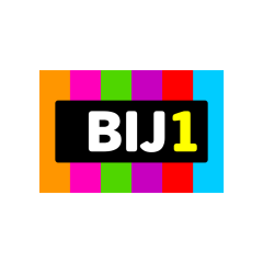 Logo BIJ1