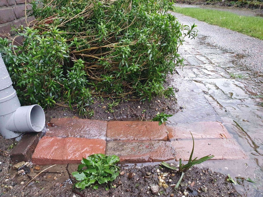 Regenpijp afgekoppeld van de riolering zodat het regenwater de tuin in loopt