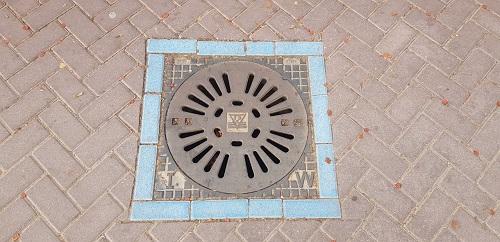 Straatput met blauwe rand voor opvang schoon regenwater