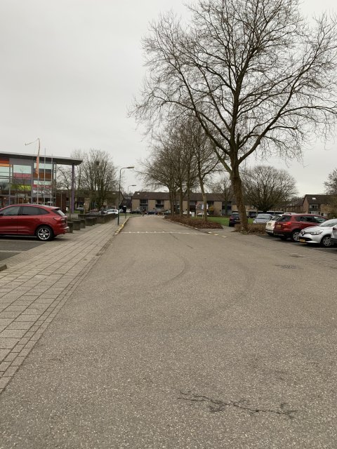 Hoflaan Leersum voor de herinrichting