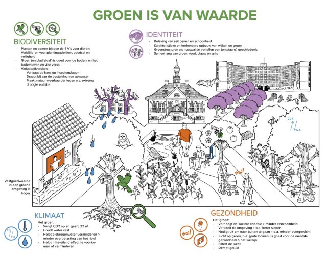 De waarde van groen uitgelegd