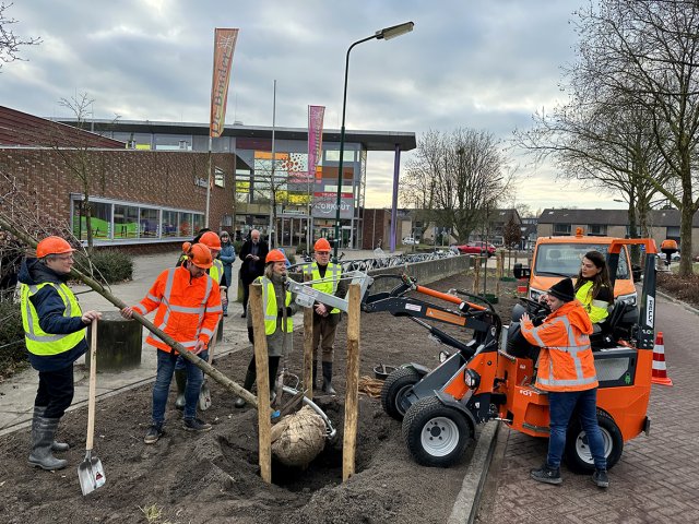Wethouder Anouk Haaxma plantte zelf de laatste boom op de Hoflaan in Leersum