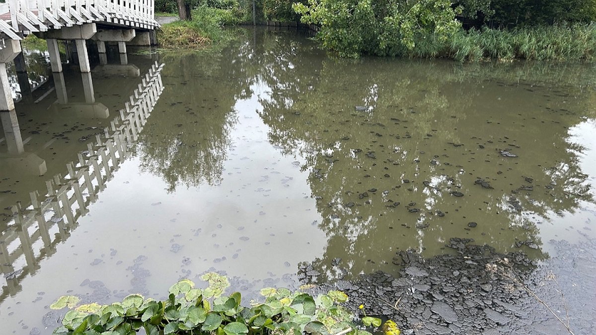 Persleidingbreuk vervuilt waterkwaliteit Amsterdam-Noord