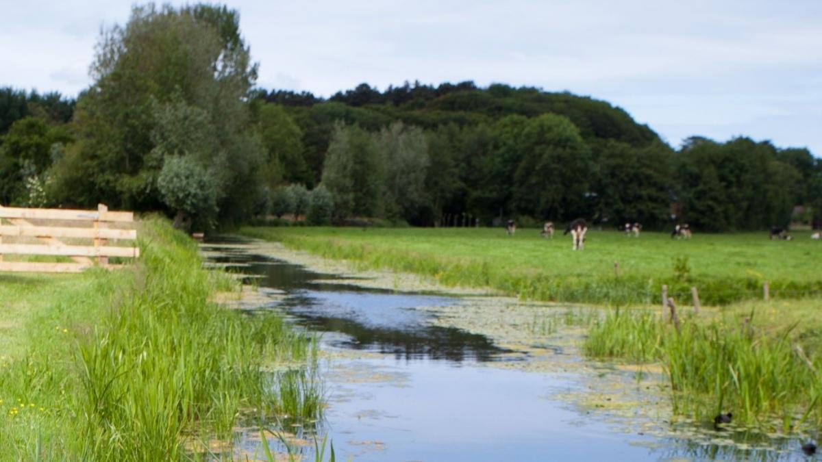 Beheer en inrichting