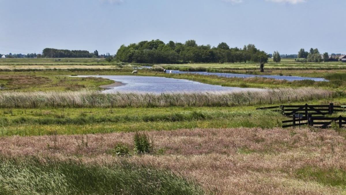 Kadeverbetering Eilandspolder