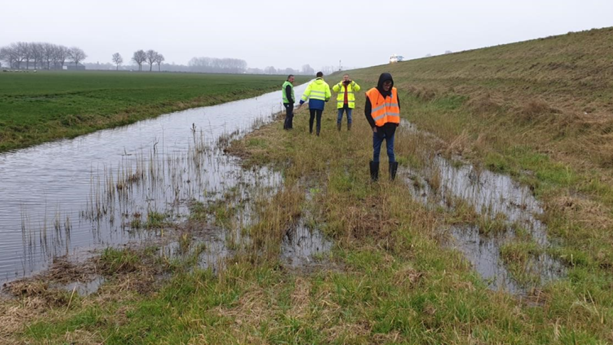 Verbetering boezemkade Drechterlandsedijk/Walingsdijk