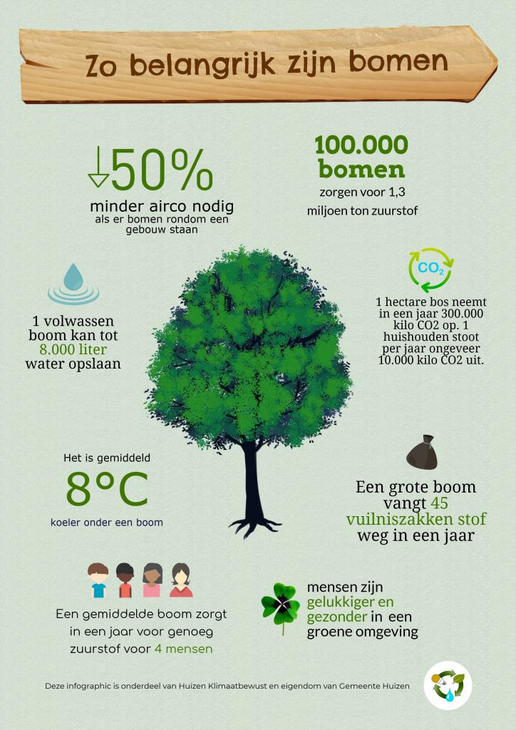 Bomen | Gemeente Huizen