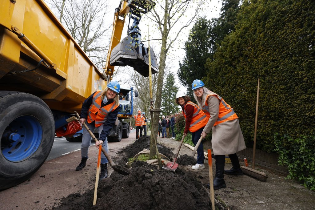 Wethouders Karin van Werven en Fleur van der Kleij plantten samen met Petra Vosters van de klankbordgroep van bewoners een boom aan de Nieuwe Bussummerweg in Huizen.