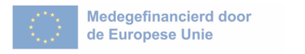 EU-vlag met tekst ernaast: Medegefinancierd door de Europese Unie