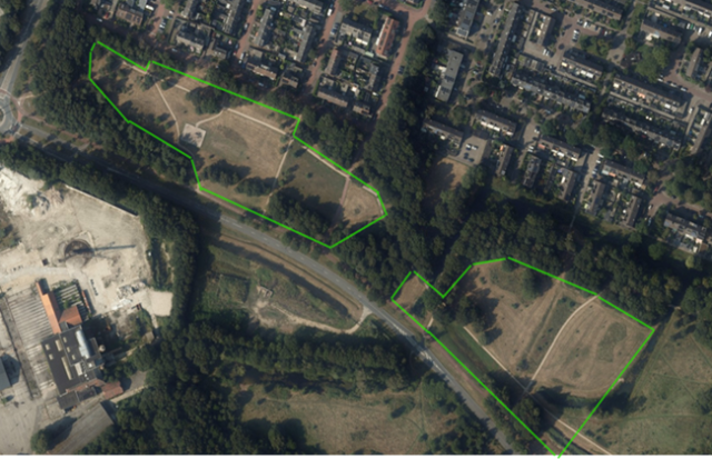 In het gebied aan de Noordzijde van de Randweg betreft het rooiwerk verspreid staande bomen.