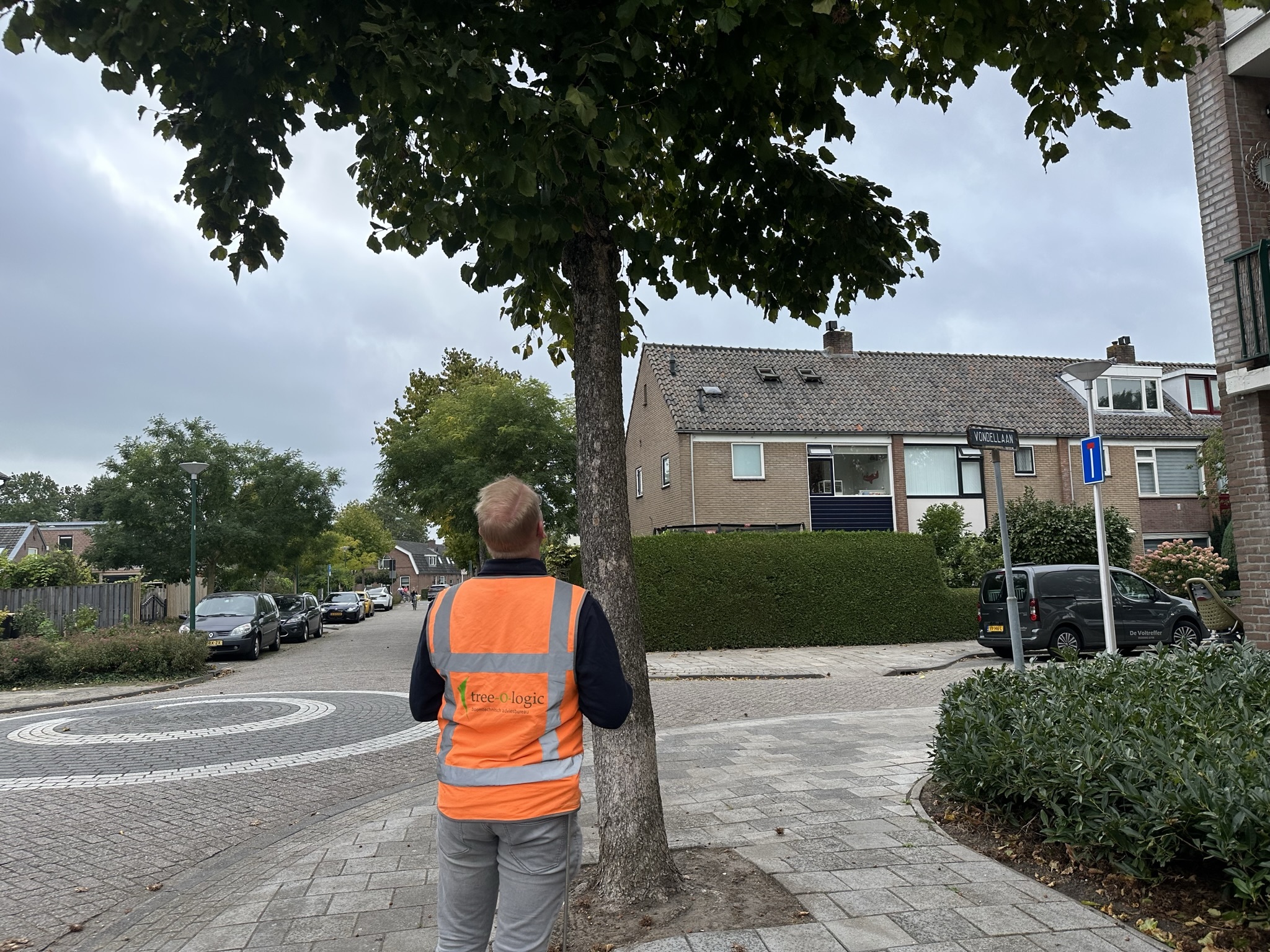 Boomveiligheidscontrole (BVC)