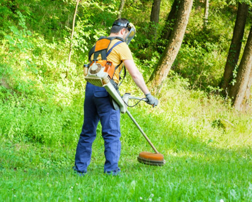 Groenmedewerker aan het werk