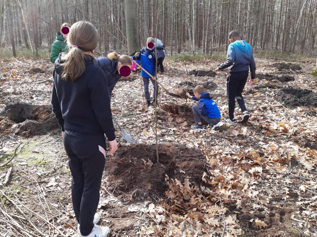 Kinderen in bos planten boom