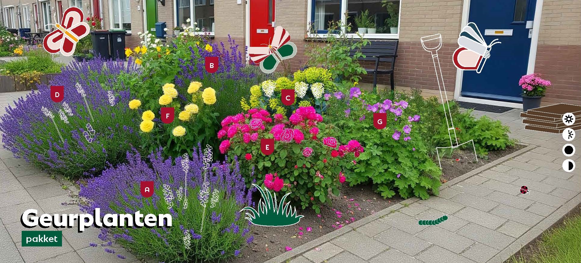 A little garden with the blooming flowers from the Geuurplanten package. Embellished with illustrations of the animals attracted to the flowers. 