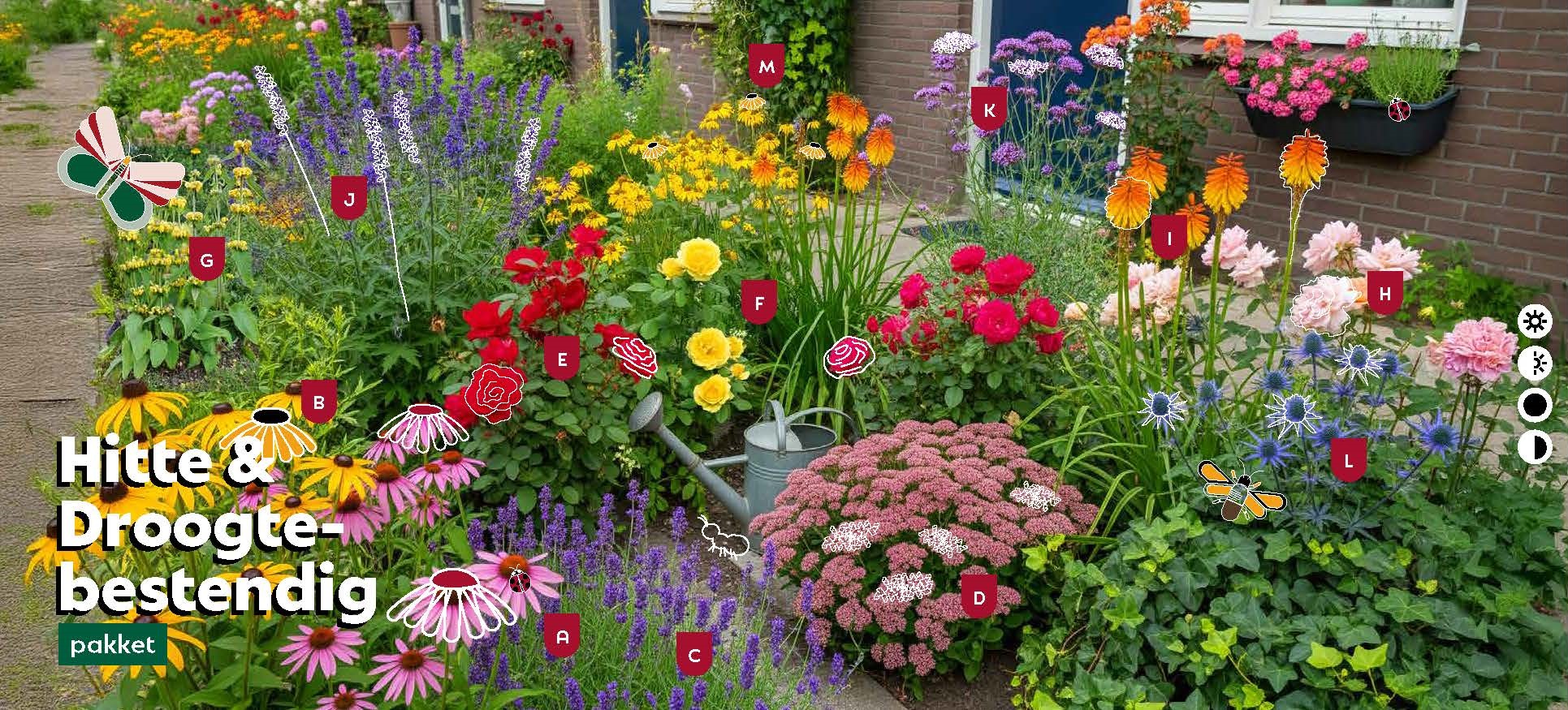 A little garden with the blooming flowers from the heat and drought resistant package. Embellished with illustrations of the animals attracted to the flowers.  