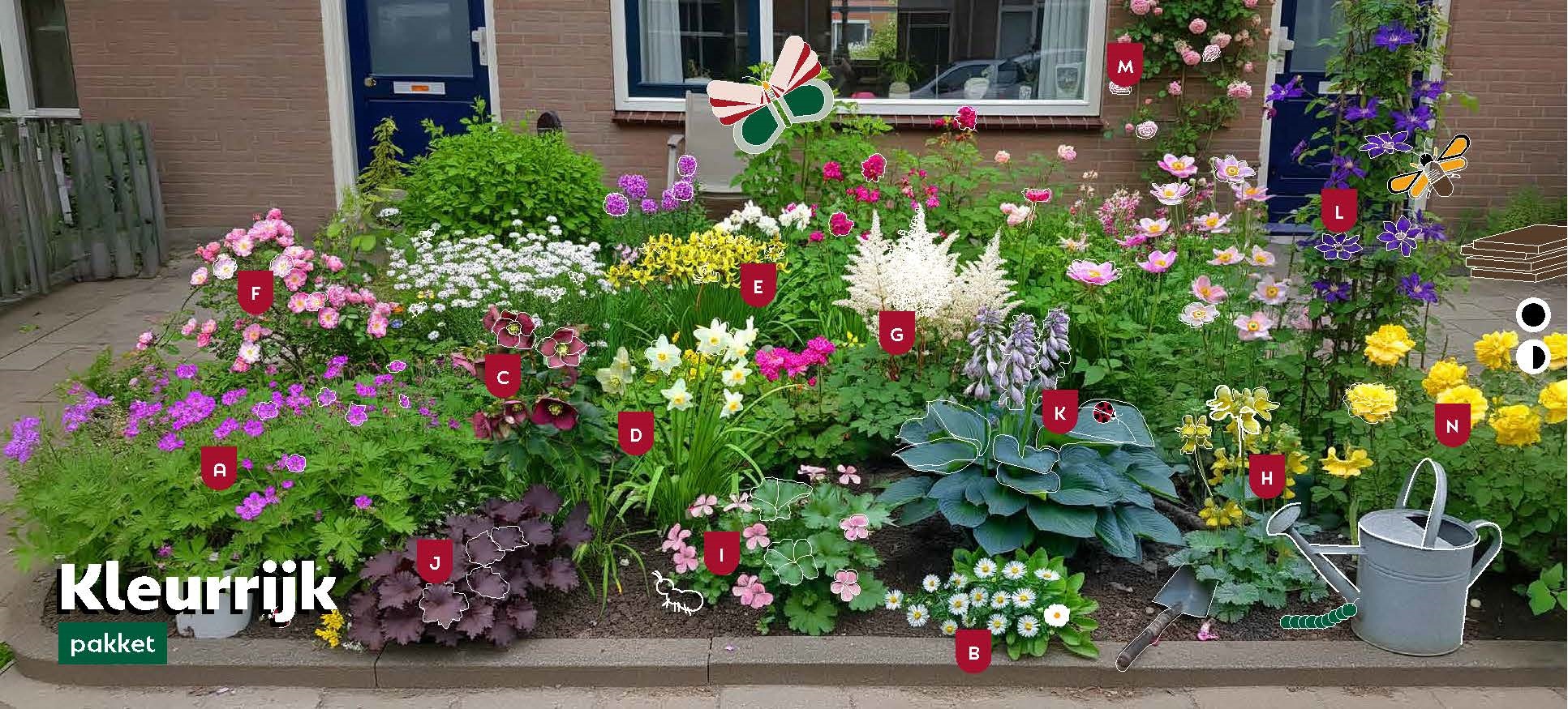 A little garden with the blooming flowers from the colorful package for shade and semi-shade. Embellished with illustrations of the animals attracted to the flowers.
