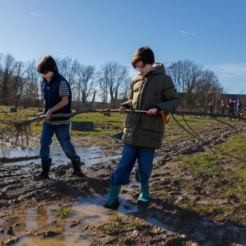 Zwei Jungen heben gemeinsam einen Lebensbaum. 