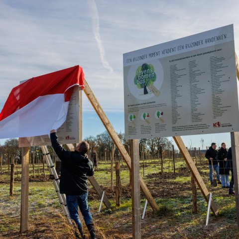 Die Schilder am Baum des Lebens werden enthüllt. 