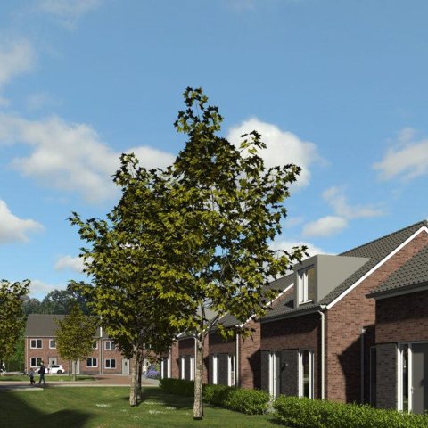 Impression Centro Meta with lifetime homes in the foreground and townhouses in the background