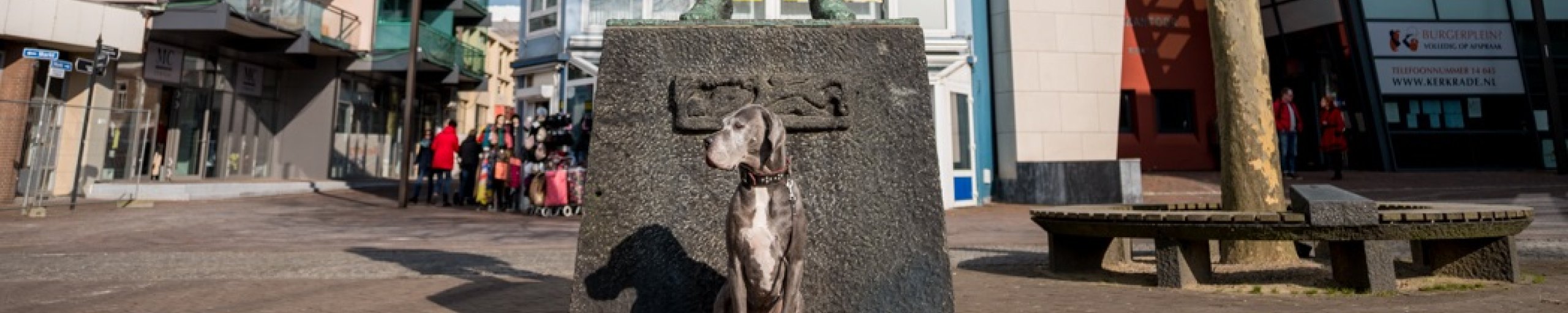 Een hond zit op het marktplein voor het standbeeld genaamd 'Joep'. 