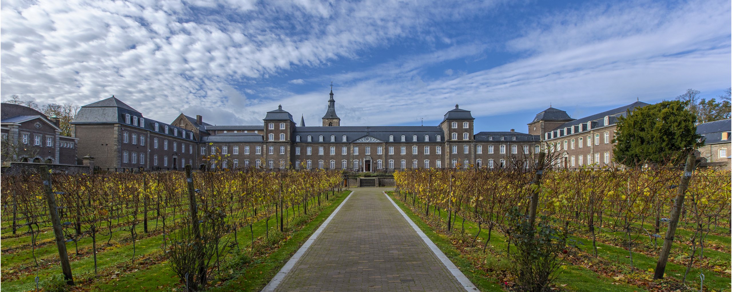 Foto met op de voorgrond de wijngaarden van abdij Rolduc en op de achtergrond de achterzijde van Abdij Rolduc