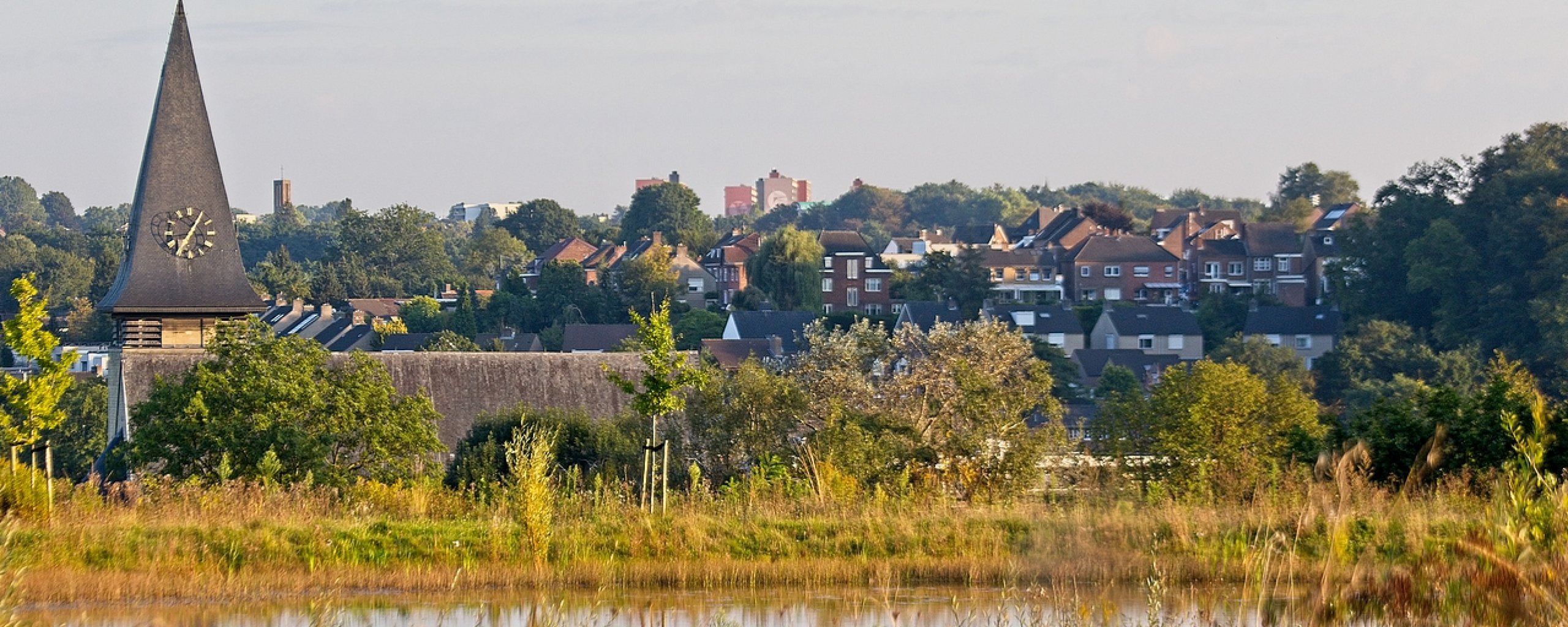 View of a church tower and houses with a pond and grass in the foreground.