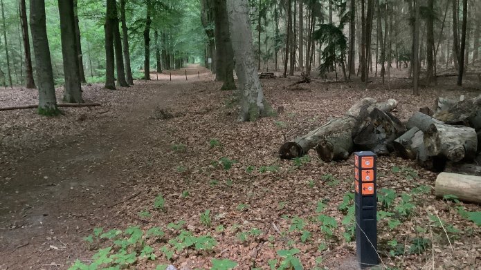 Een knooppuntenpaaltje in het bos