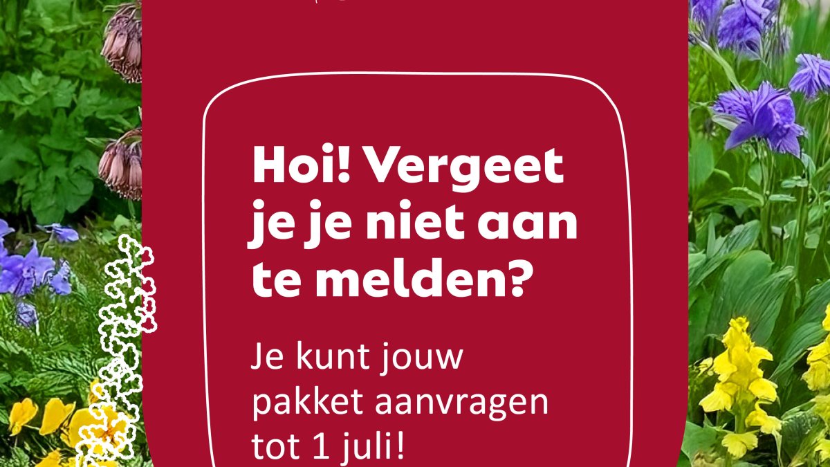 Najaarsactie NK Tegelwippen bijna vol: meld je snel aan