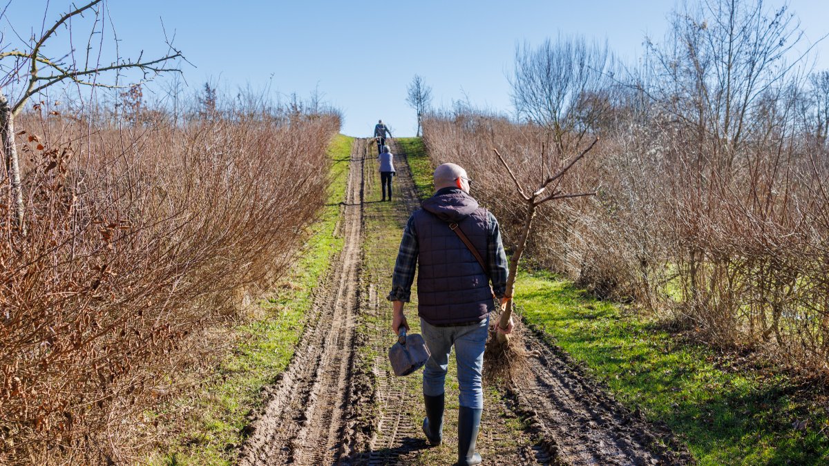 Nieuwe start voor Levensbomenbos West