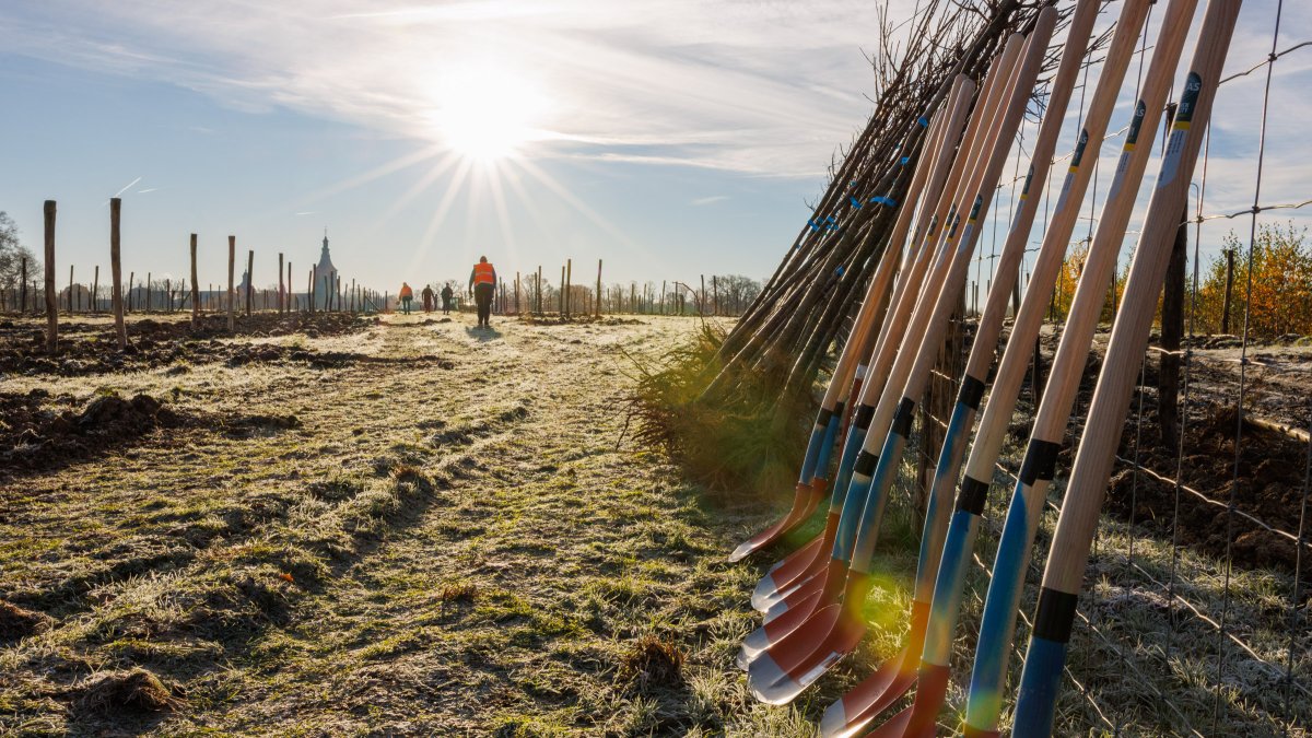 Levensbomenbos Rolduc geopend: een plek vol verhalen en verbondenheid