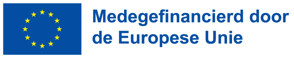 Een banner met de Europese vlag en de tekst 'Medegefinancierd door de Europese Unie'