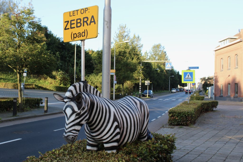 Een foto van de levensgrote zebra met een bordje "Let op: Zebra (pad)" bij de eerste locatie van de actie