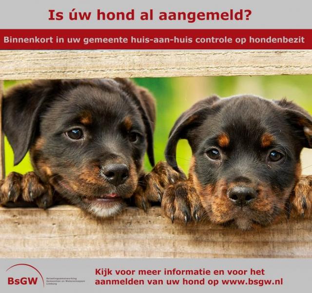 Is uw hond al aangemeld? Met foto van twee schattig ogende zwart-bruine puppy's