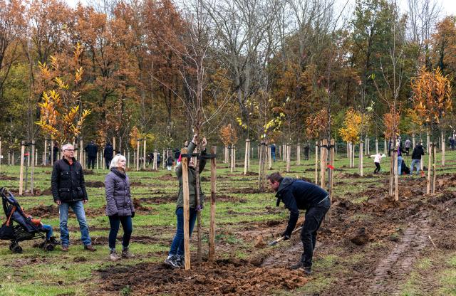 Een familie plant een levensboom en hangt het label in de boom