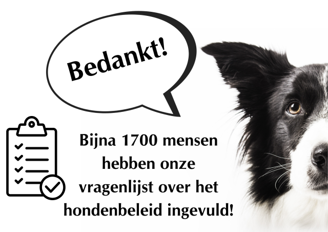 Bedankt Voor Het Meedenken Over Ons Nieuwe Hondenbeleid! | Gemeente ...