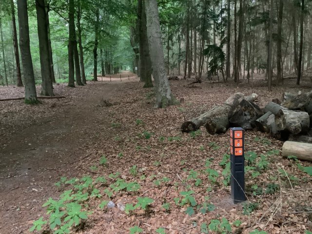 Een knooppuntenpaaltje in het bos