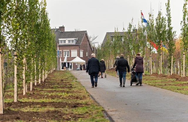 Een familie loop door de Levensbomenlaan na het planten van hun boom. aan weerzijden van de laan staan de net geplante zuiliepen