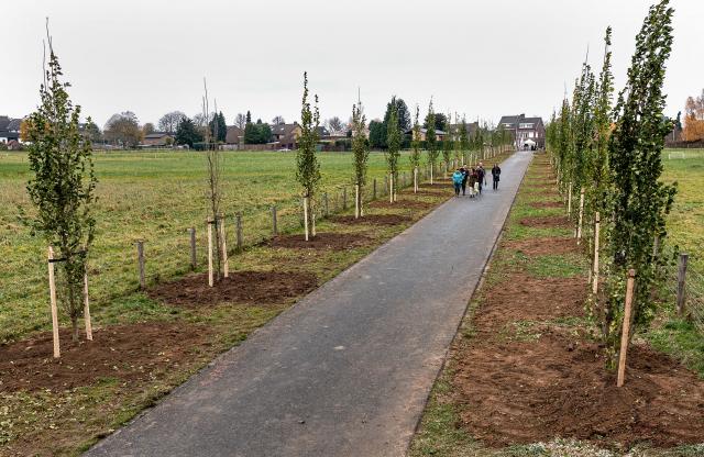 Een luchtfoto van de Levensbomenlaan, een familie loopt de lan uit na het planten van hun boom. aan weerszijden van de laan staan Zuiliepen. aan het einde van de laan zijn de huizen va de Eygelshovergracht zichtbaar.