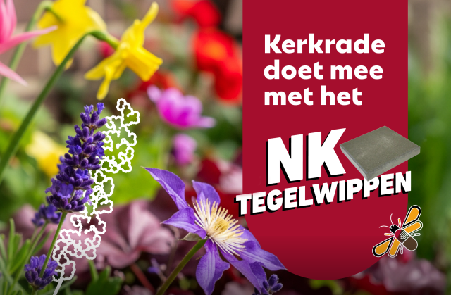 Kerkrade competes in Dutch tile-sweeping championships