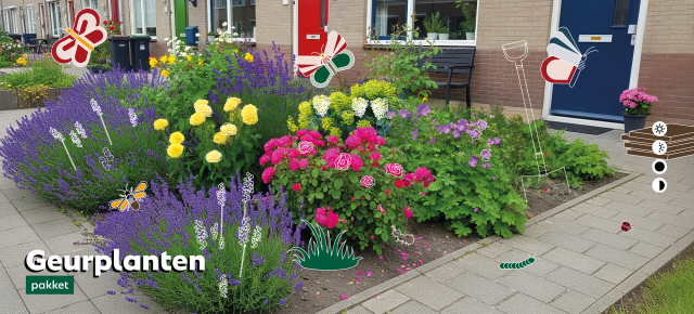 Ein kleiner Garten mit den blühenden Blumen aus dem Duftpflanzen-Paket, geeignet für Sonne, Schatten, Halbschatten und Halbschatten. 