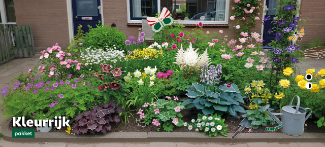 Ein kleiner Garten mit blühenden Blumen aus dem farbenfrohen Paket, geeignet für Schatten und Halbschatten. 