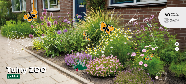 Ein kleiner Garten mit den blühenden Blumen aus dem Tuiny ZOO-Paket, geeignet für Sonne und Halbschatten. 