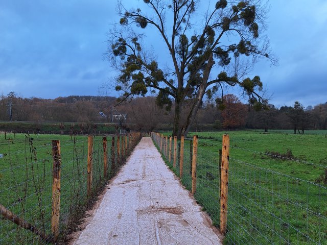 Een wandelpad met aan weerszijden afrastering. Het pad loopt richting een spoordijk. In de verte een paar huizen in het bos. 